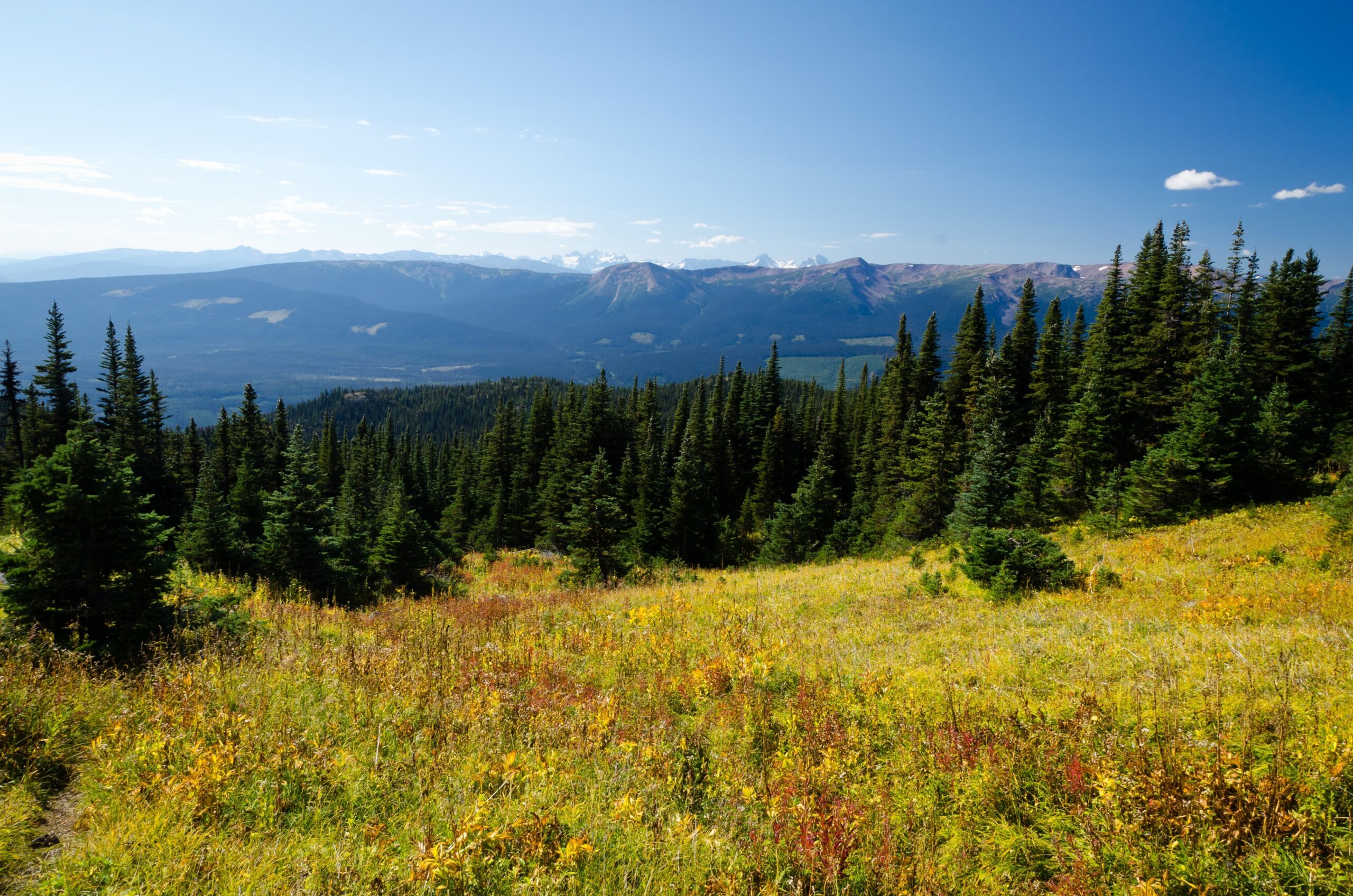 Hudson Bay Mountain, Canada