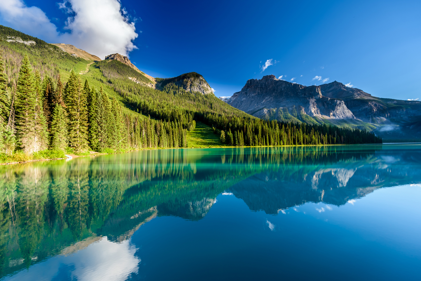Canadian lake landscape